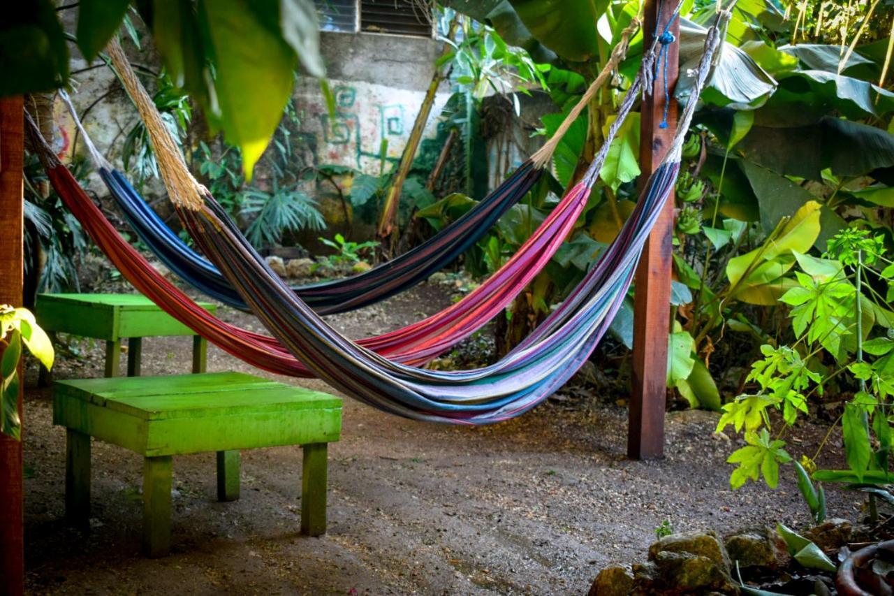 Ciao Cacao Hostel & Vegan Cafe Флорес Экстерьер фото